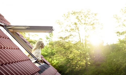 VELUX PREMIUM GPL3070 Панорама