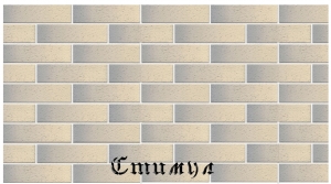 Кирпич лицевой альбион гладкий М175 Одинарный 1 NF 250*120*65 Голицынский