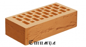 Кирпич лицевой соломенный дерево М200 Одинарный 1 NF 250*120*65 Голицынский