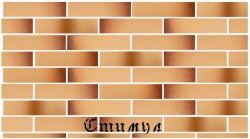 Кирпич лицевой старая прага М175 Одинарный 1 NF 250*120*65 Голицынский